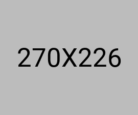 SHARES ACCOUNT